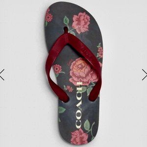 Coach Zak Flipflops - Floral NWT